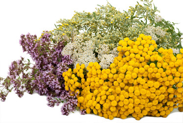 Similar image 783761