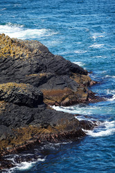 Similar image 783804