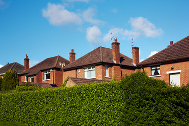 Similar image 783865