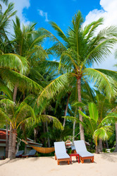 Similar image 783891