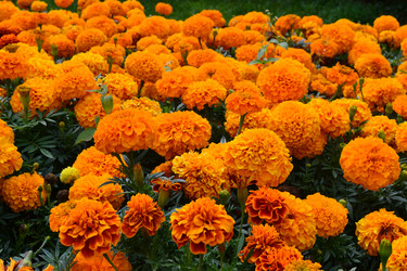 Similar image 783892