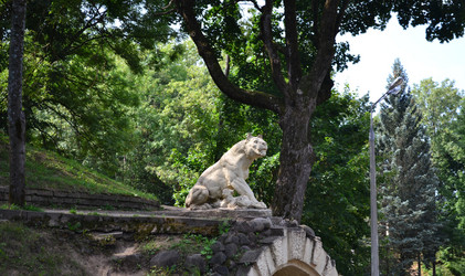 Similar image 783898