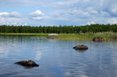 Similar image 783934