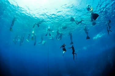 Similar image 783984