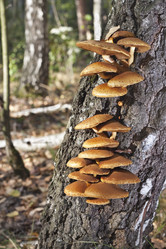 Similar image 783993