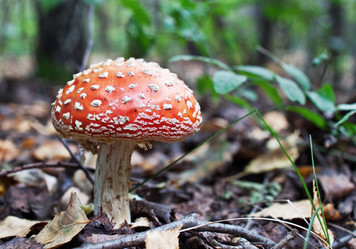 Similar image 783995