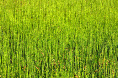 Similar image 783997