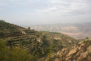 Similar image 784029