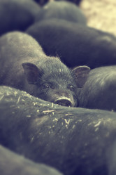 Similar image 784054