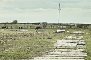 Similar image 784055