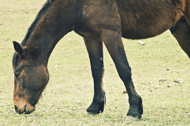 Similar image 784057