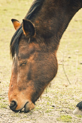 Similar image 784058