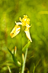 Similar image 784060