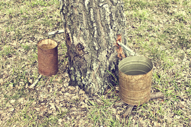 Similar image 784062