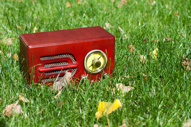 Similar image 784065