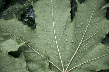 Similar image 784067