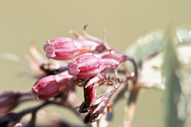 Similar image 784090