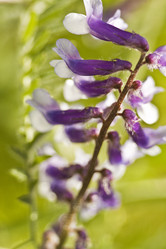 Similar image 784091