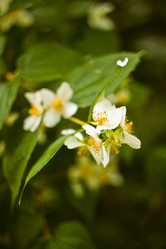 Similar image 784099