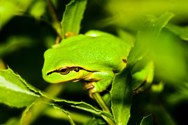 Similar image 784107