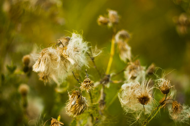 Similar image 784111