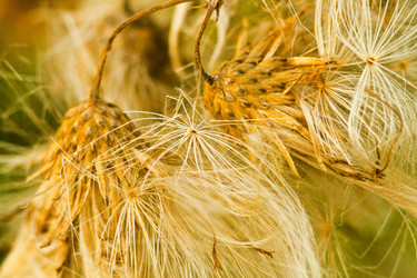 Similar image 784113