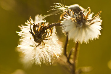 Similar image 784114