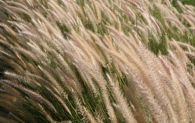 Similar image 784171