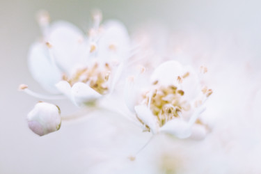 Similar image 784189