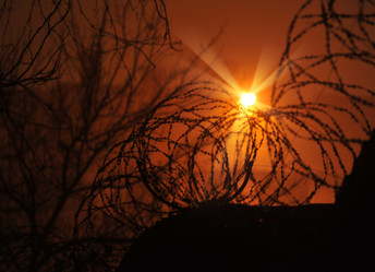 Similar image 784217