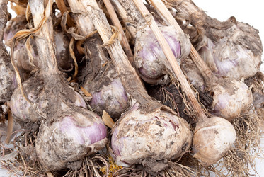 Similar image 784228