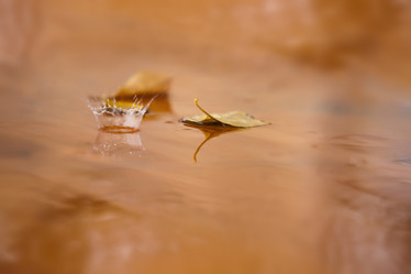 Similar image 784258