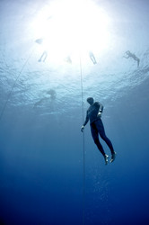 Similar image 784262