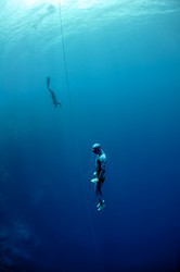 Similar image 784271