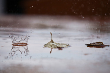 Similar image 784272