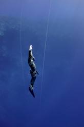 Similar image 784277