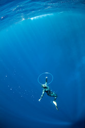 Similar image 784303