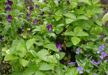 Similar image 784311