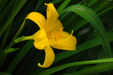 Similar image 784352