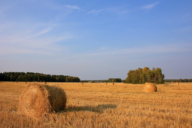 Similar image 784374