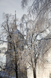 Similar image 784404