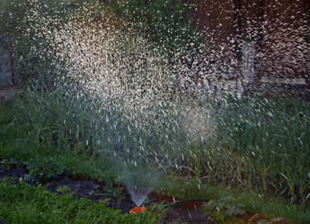 Similar image 784416