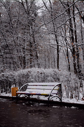 Similar image 784427