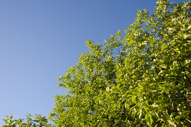 Similar image 784430