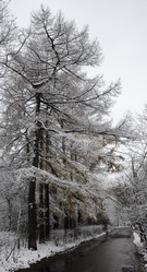 Similar image 784450