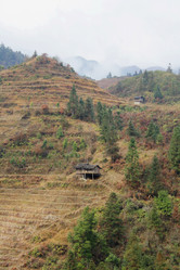 Similar image 784456