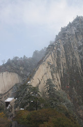 Similar image 784466