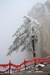 Similar image 784467