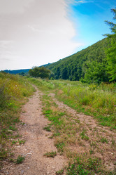 Similar image 784526