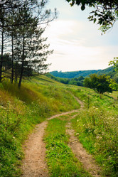 Similar image 784527